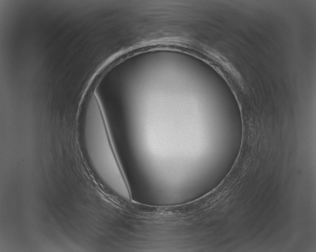 X0000084541316200702230858