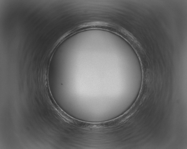 X0000084541321200702230858