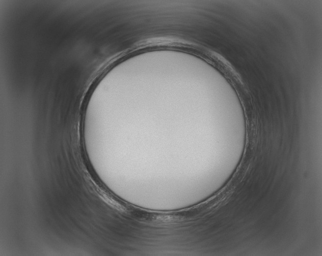 X0000084541322200702230858