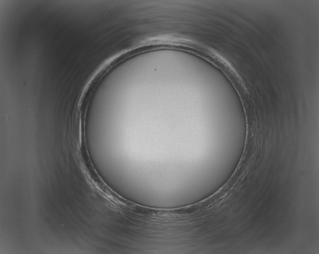 X0000084541323200702230858