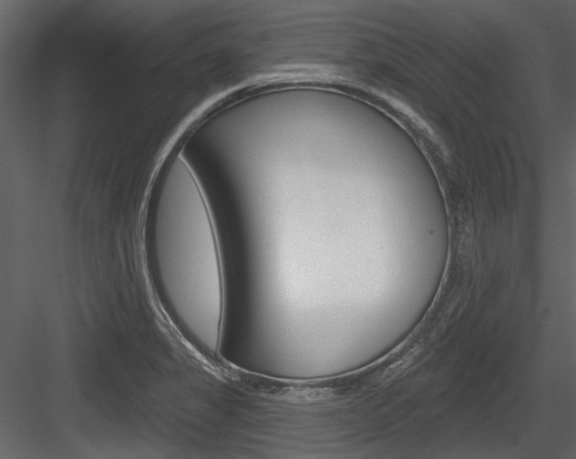 X0000084541325200702230858