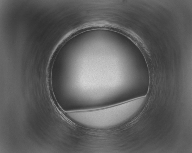 X0000084541326200702230858