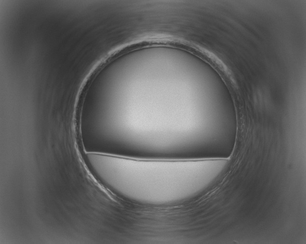 X0000084541327200702230858
