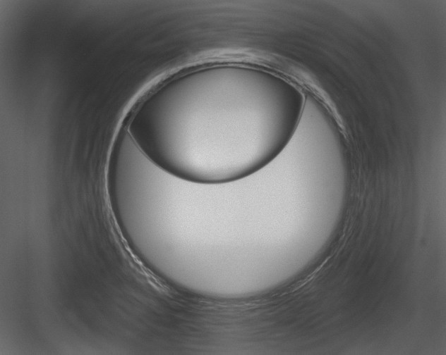 X0000084541328200702230858