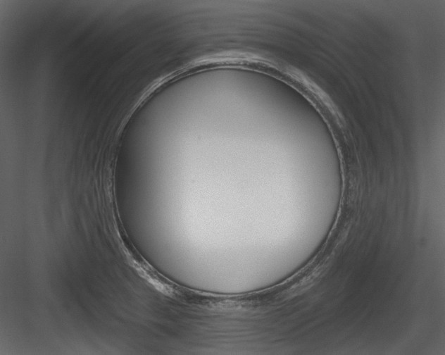X0000084541329200702230858