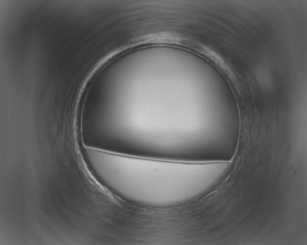 X0000084541331200702230858