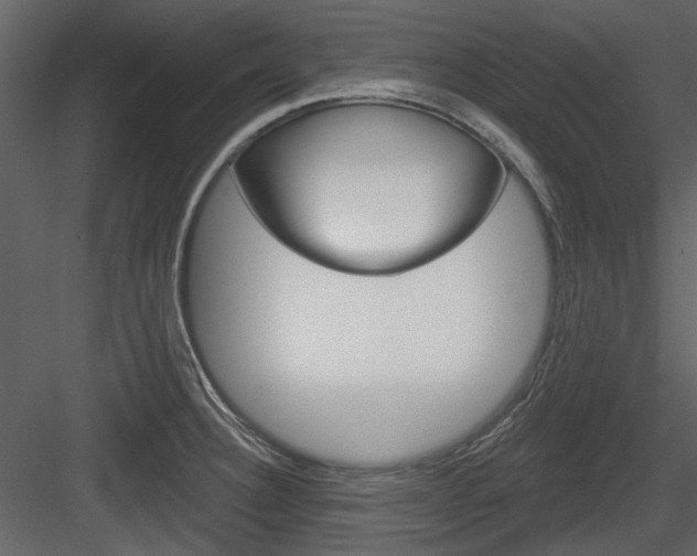 X0000084541332200702230858