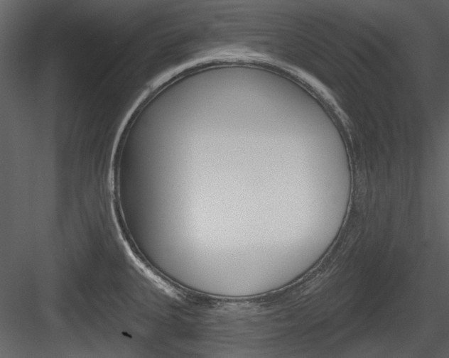 X0000084541335200702230858