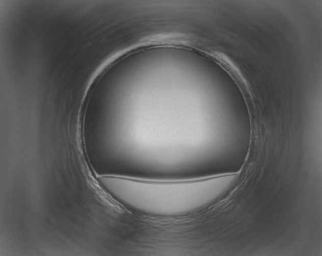 X0000084541336200702230858