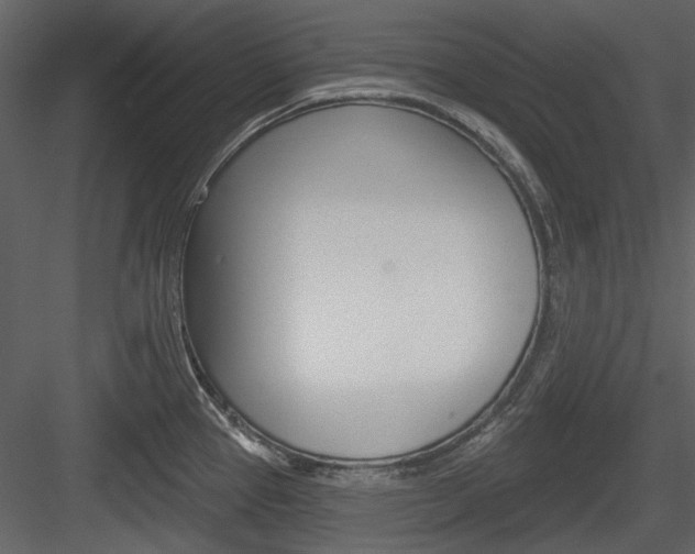 X0000084541337200702230858