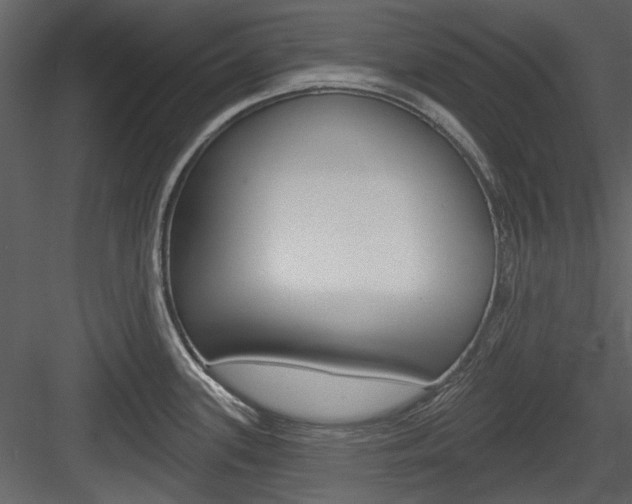 X0000084541339200702230858