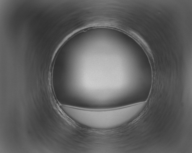 X0000084541340200702230858