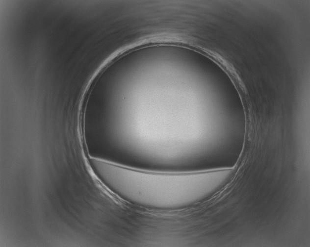 X0000084541342200702230858
