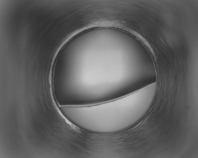 X0000084541343200702230858