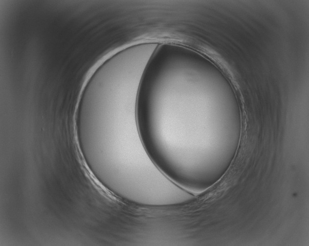 X0000084541344200702230858