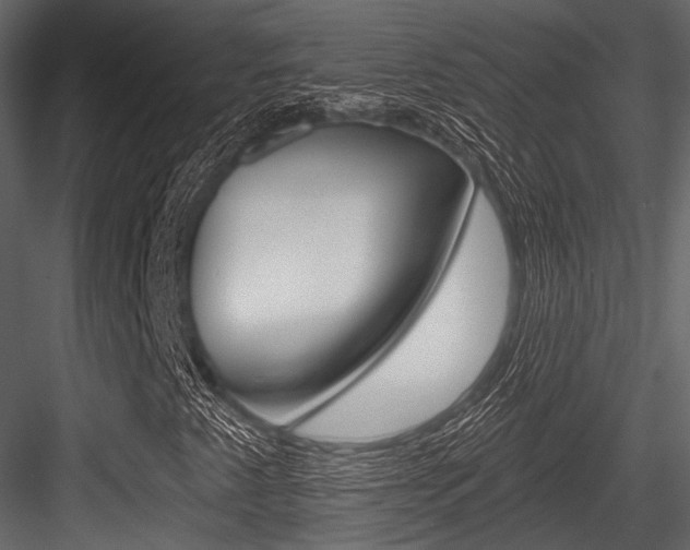 X0000084541345200702230857