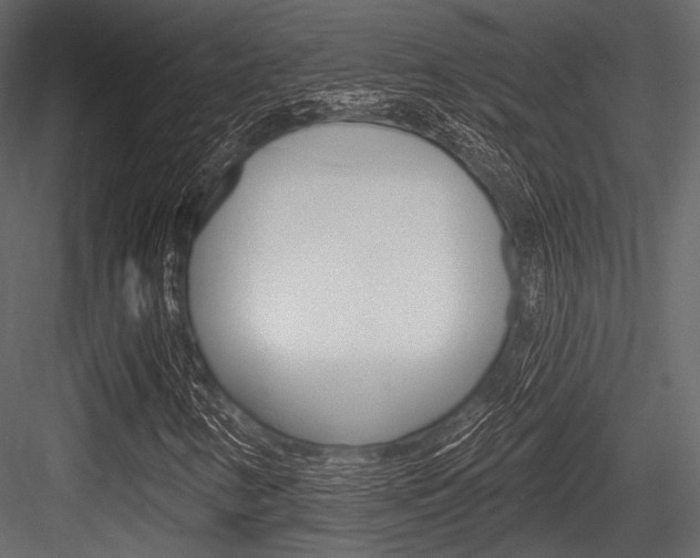 X0000084541346200702230857