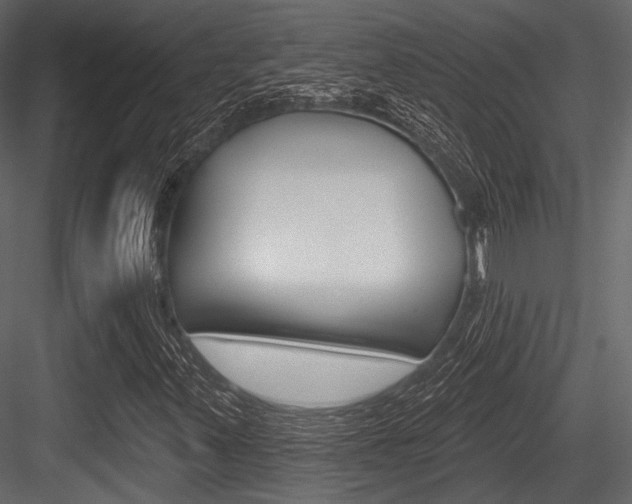 X0000084541347200702230857