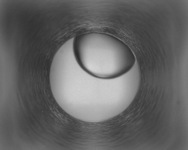 X0000084541348200702230857