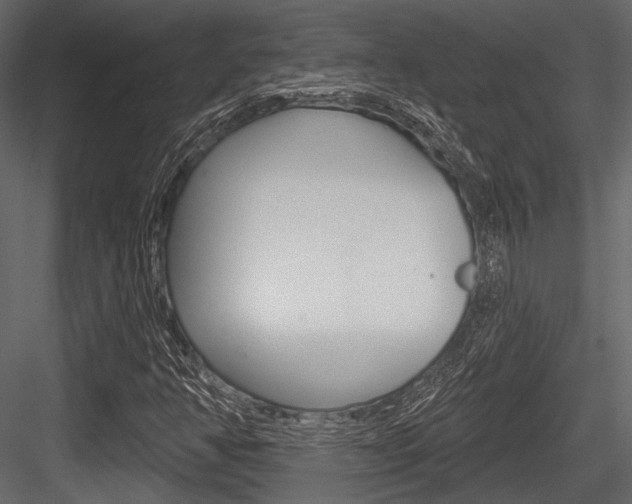 X0000084541350200702230857