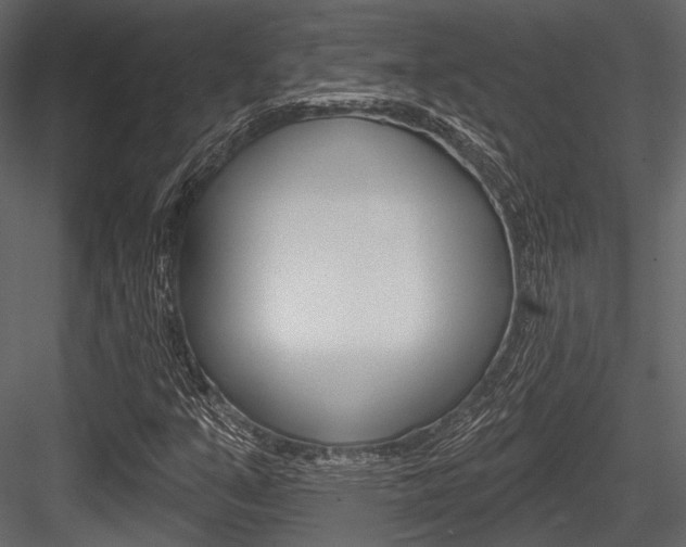 X0000084541351200702230857
