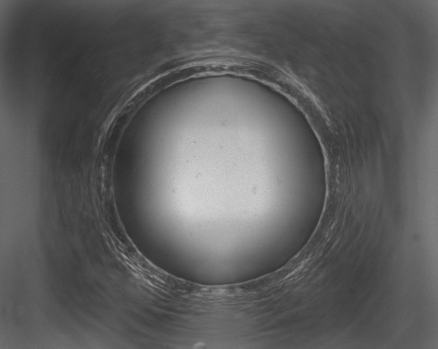 X0000084541352200702230857