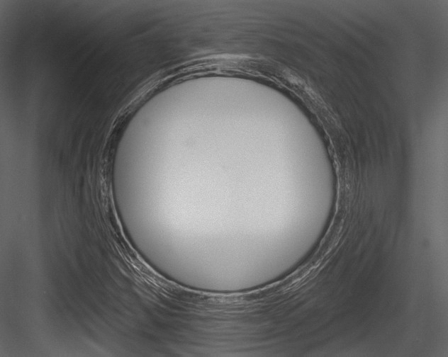 X0000084541354200702230857