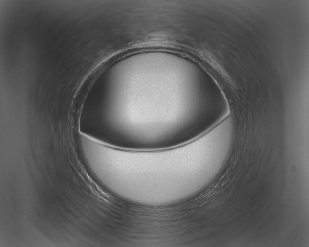 X0000084541356200702230857