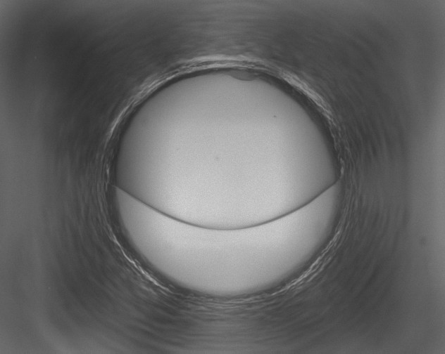 X0000084541357200702230857