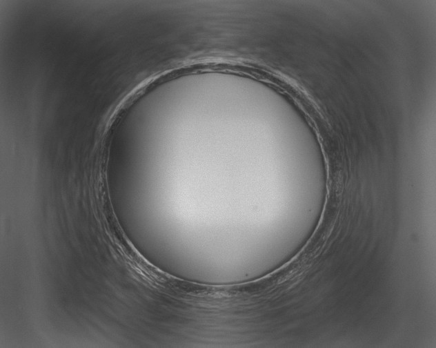 X0000084541359200702230857