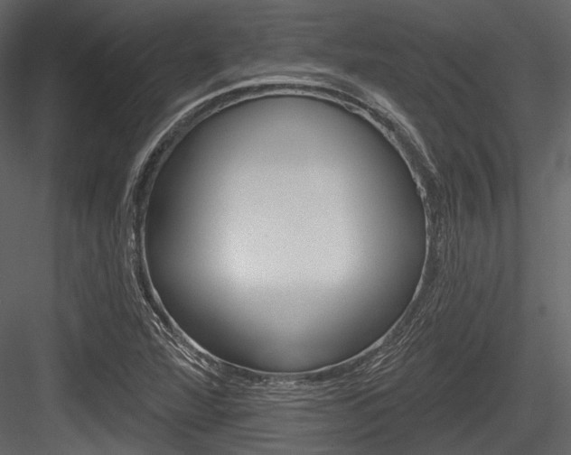 X0000084541360200702230857