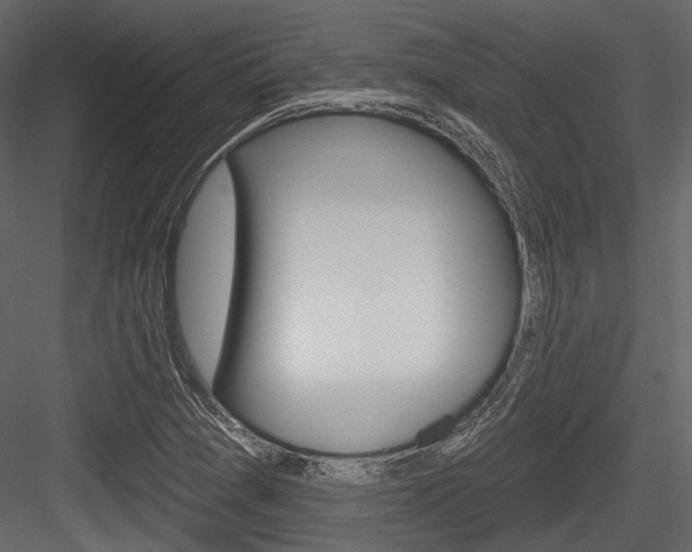 X0000084541361200702230857