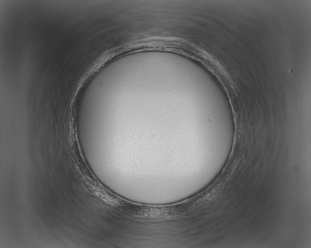 X0000084541362200702230857