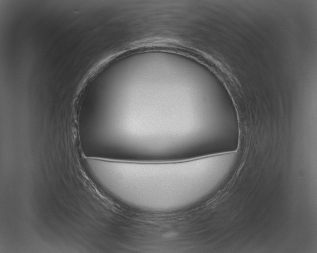 X0000084541363200702230857