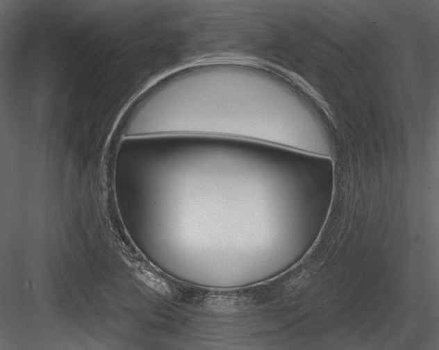 X0000084541364200702230857