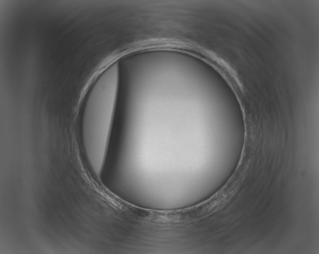 X0000084541365200702230857