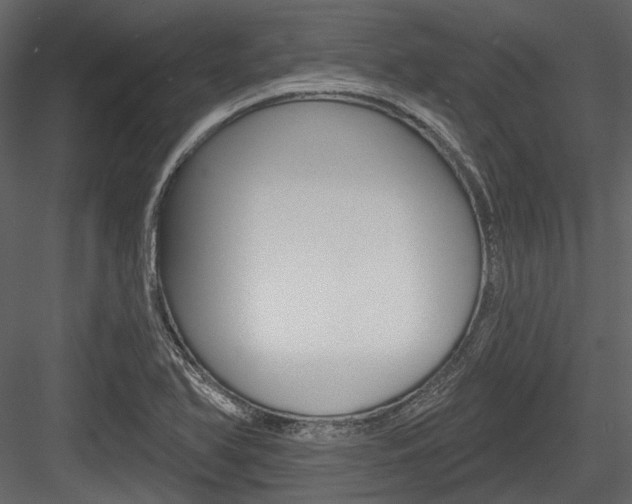 X0000084541366200702230857