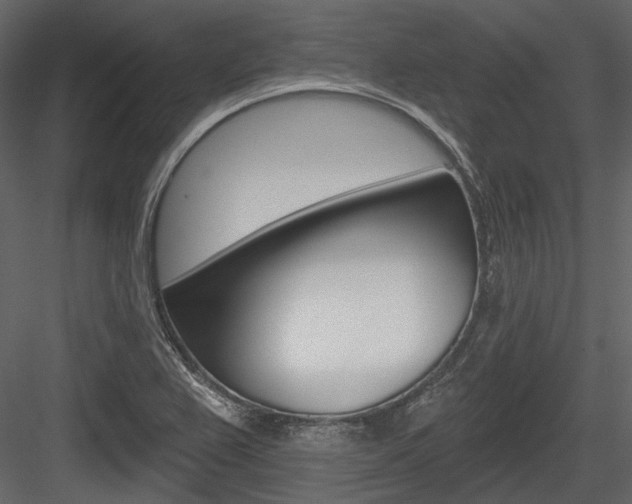 X0000084541367200702230857