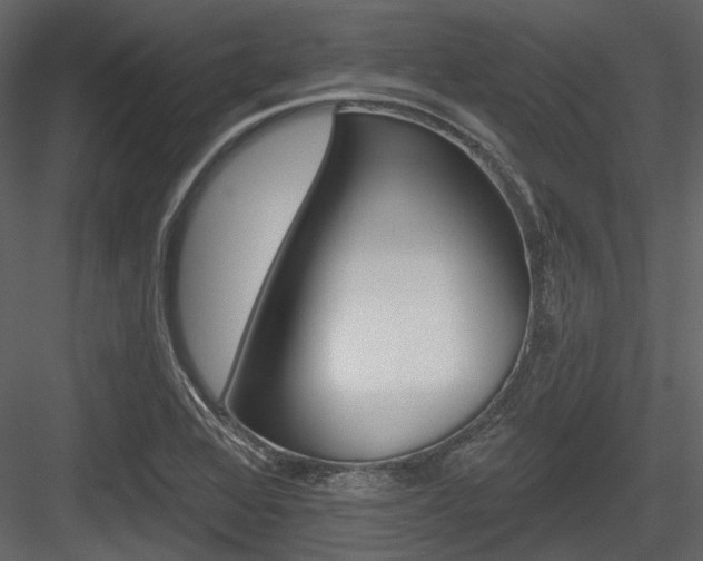X0000084541368200702230857