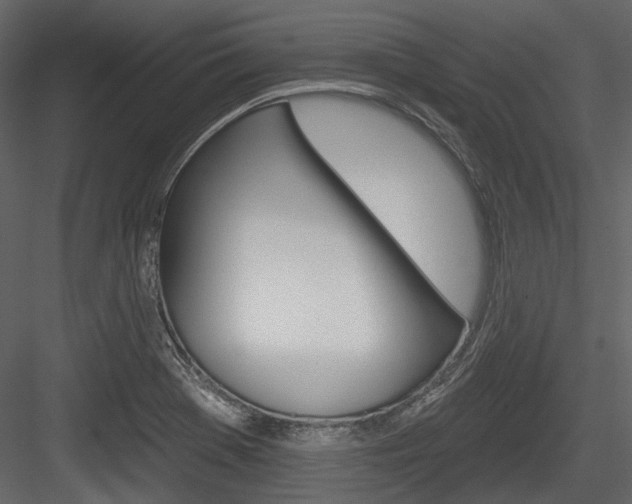 X0000084541369200702230857