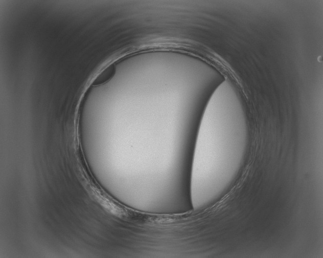 X0000084541370200702230857