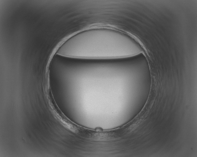 X0000084541371200702230857