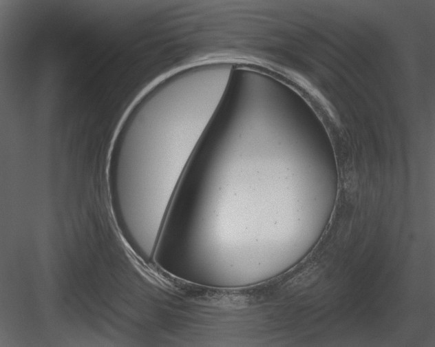 X0000084541372200702230857