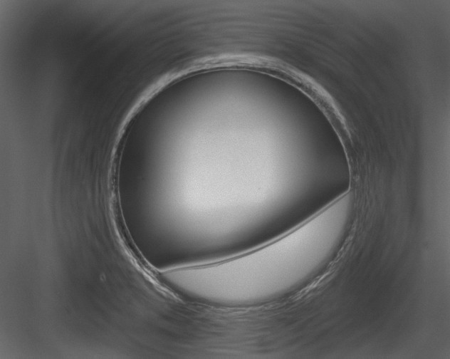 X0000084541373200702230857
