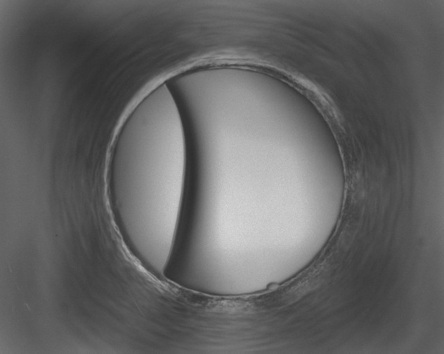 X0000084541374200702230857