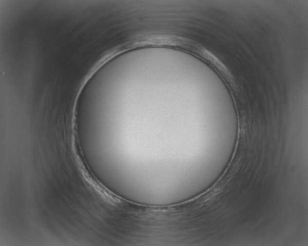 X0000084541378200702230857
