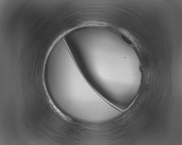 X0000084541379200702230857
