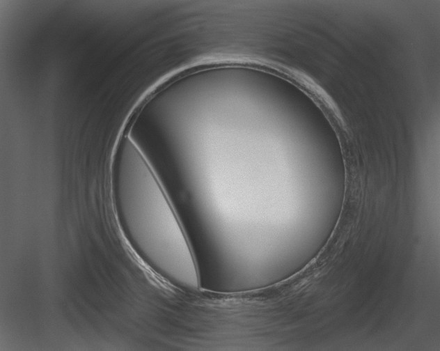 X0000084541380200702230857