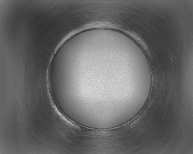 X0000084541382200702230857