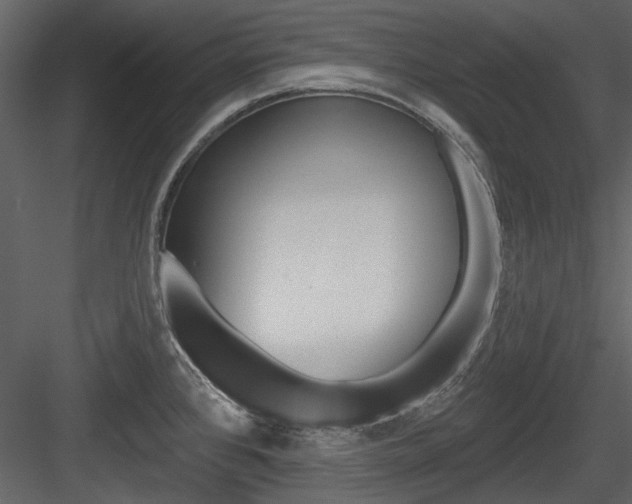 X0000084541384200702230857